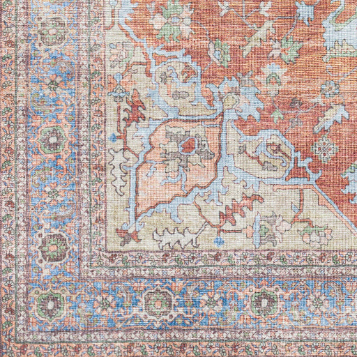 Alanya Multi-color Rug