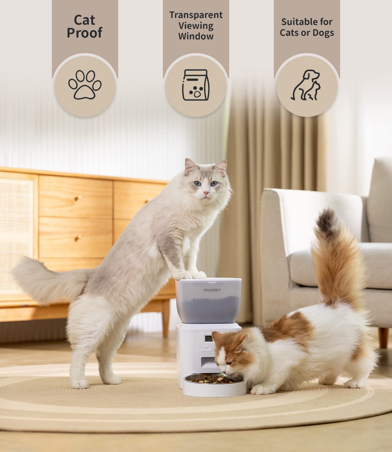 Automatic Cat Feeders， Anti-Clogging Design Pet Dry Food Dispenser with Voice Recorder， Timed Cat Feeder with Desiccant Bag， Programmable Timer Pet Feeder - Up to 20 Portions 6 Meals Per Day