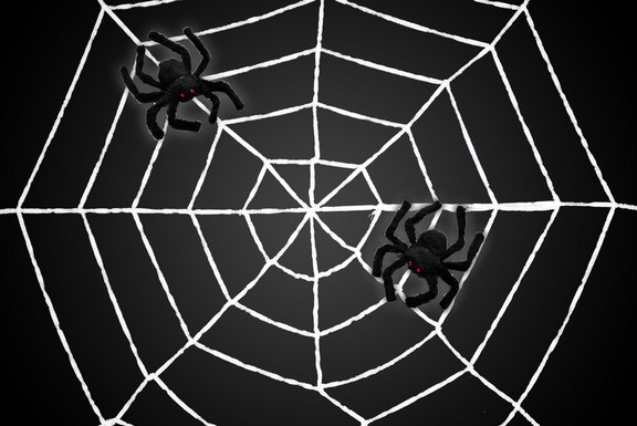 LEDgen HWN SPD WEB 5' Spider Web With 2 Black Spid...