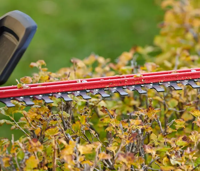 Toro 60-Volt Max Lithium-Ion Electric 24Hedge Trimmer