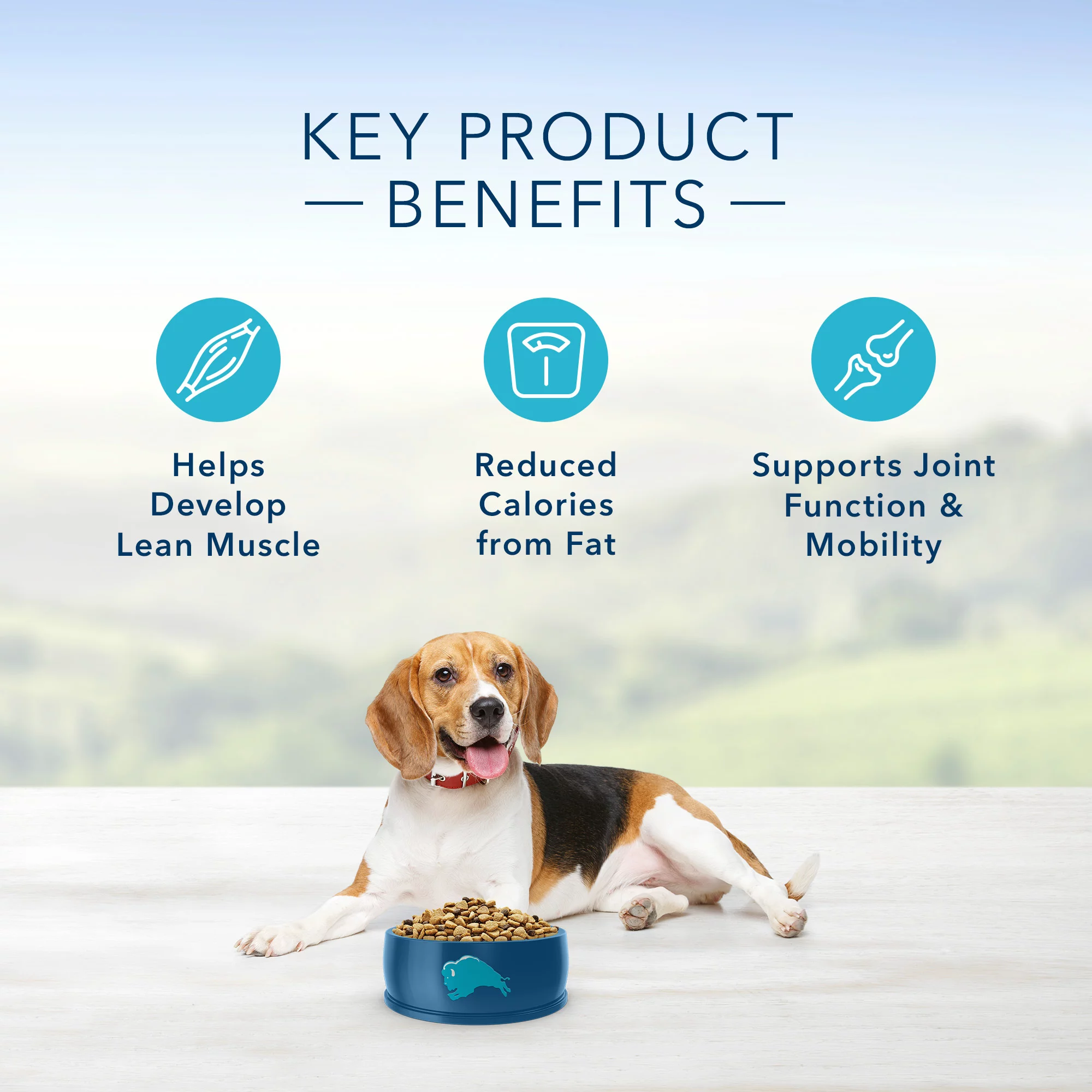 Blue Buffalo Life Protection Formula Healthy Weight Chicken and Brown Rice Dry Dog Food for Adult Dogs Whole Grain 24 lb. Bag