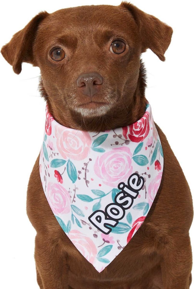 Frisco Watercolor Roses Personalized Dog and Cat Bandana