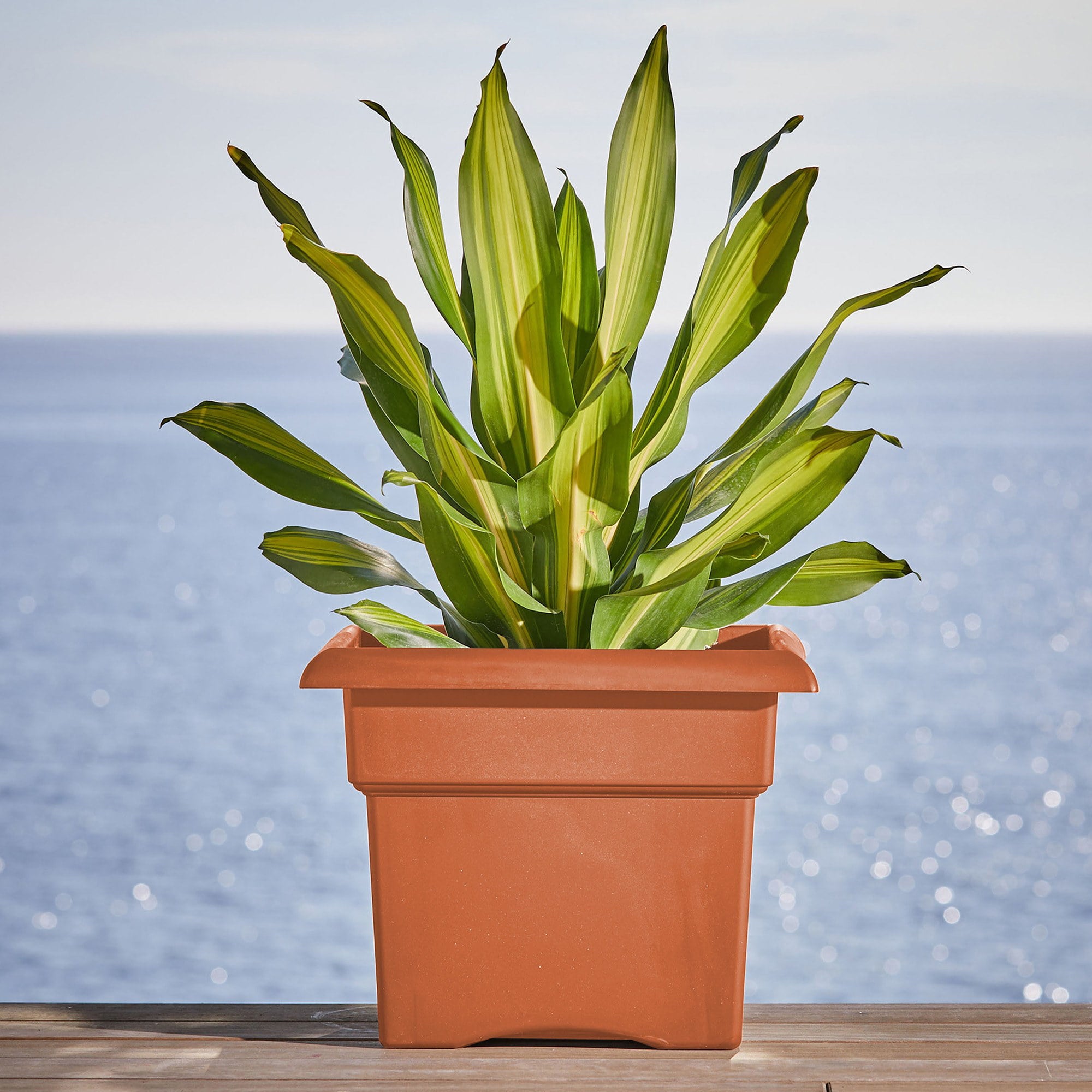 Bloem Veranda Square Deck Box Planter: 18" - Terracotta - Matte Finish, Weatherproof Plastic, Optional Drainage Holes, For Indoor and Outdoor Use, Gardening, 9 gallon capacity