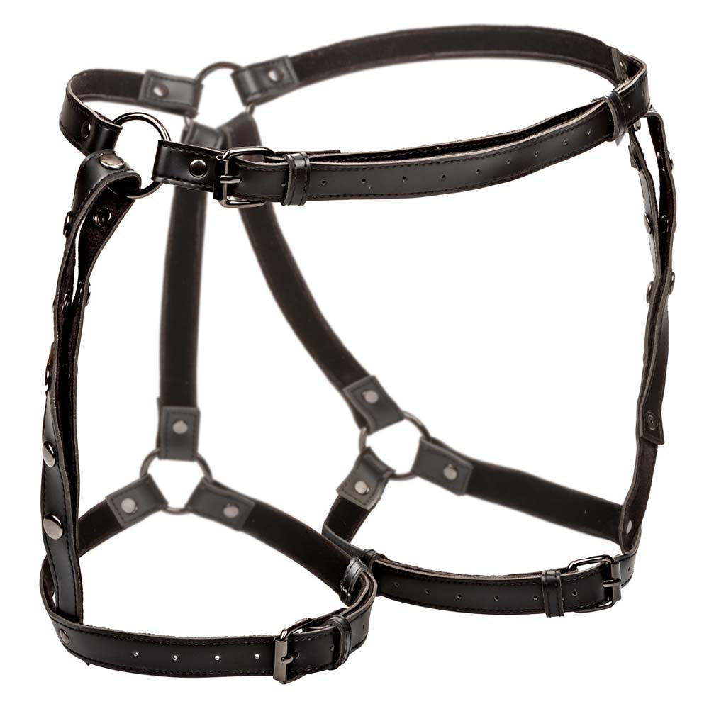 Euphoria Riding Thigh Harness