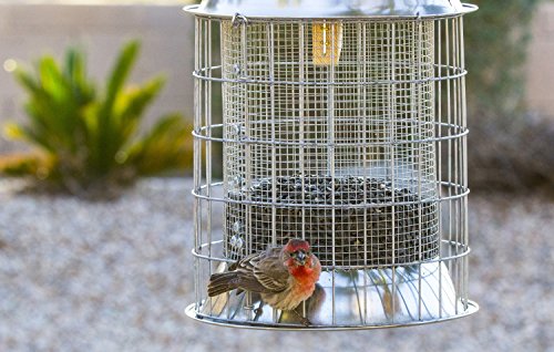 best squirrel proof bird feeder - heavy-duty repellent cage design by bird lovers!