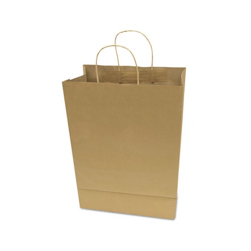 Cosco Premium Shopping Bag  COS091565