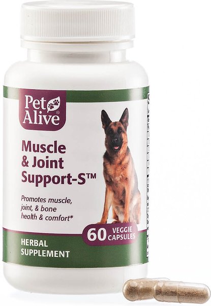 PetAlive Muscle and Joint Support-S Dog and Cat Supplement， 60 count