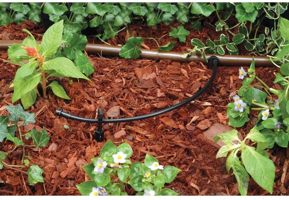 Rain Bird T22-50S Drip Irrigation 1/4