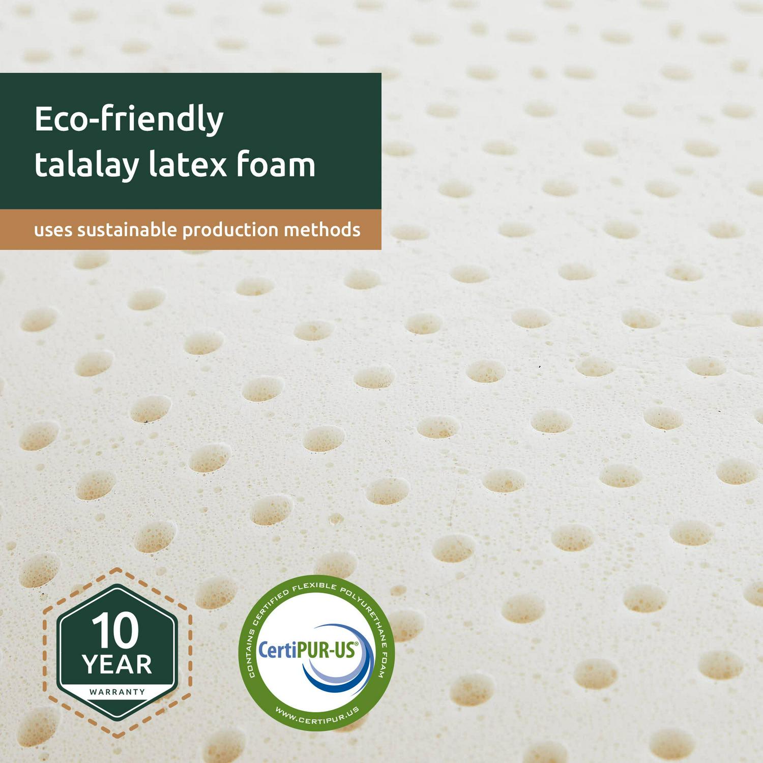 Talalay Latex Foam Mid-Loft Pillow， Queen， Mid-Loft， Rest Haven