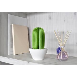 129 sq.ft. Nanum Cactus Non-Electric Personal Humidifier in Light Green C101-GRE