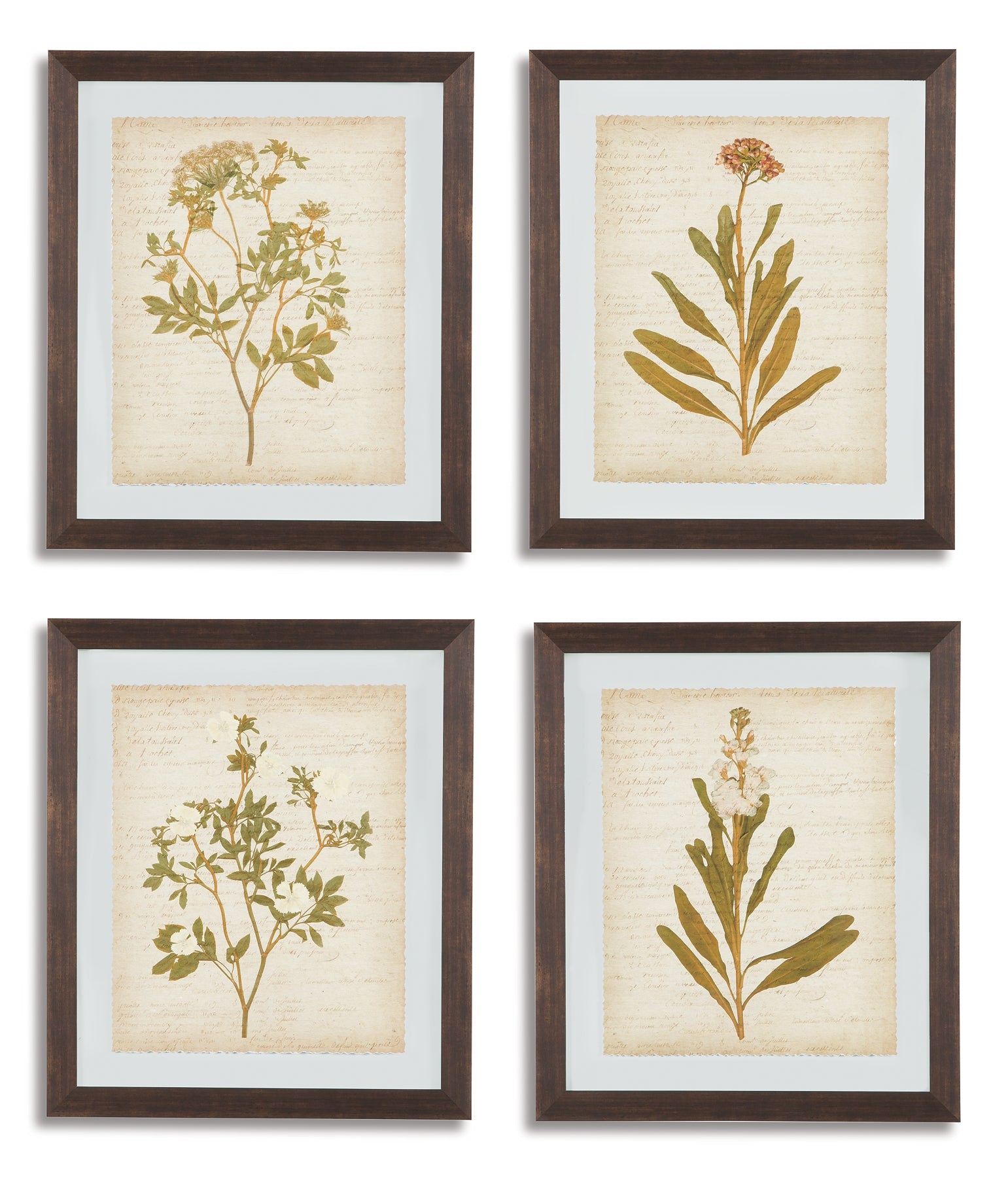 Dyani Wall Art (Set of 4)