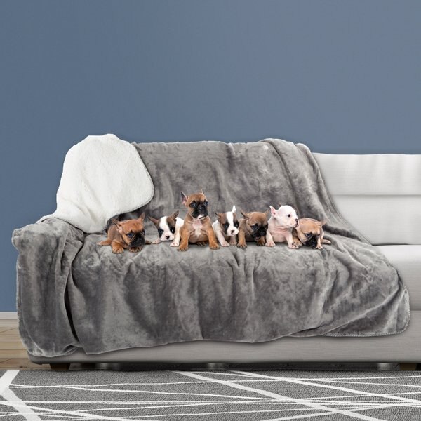 Pet Adobe Waterproof Pet Throw Blanket