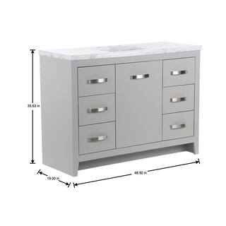 Home Decorators Collection Blakely 49 in. W x 19 in. D Bath Vanity in Sterling Gray with Stone Effects Vanity Top in Lunar with White Sink BK48P2-LY