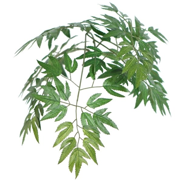 Vickerman 6' Green Ming Aralia Everyday Tree