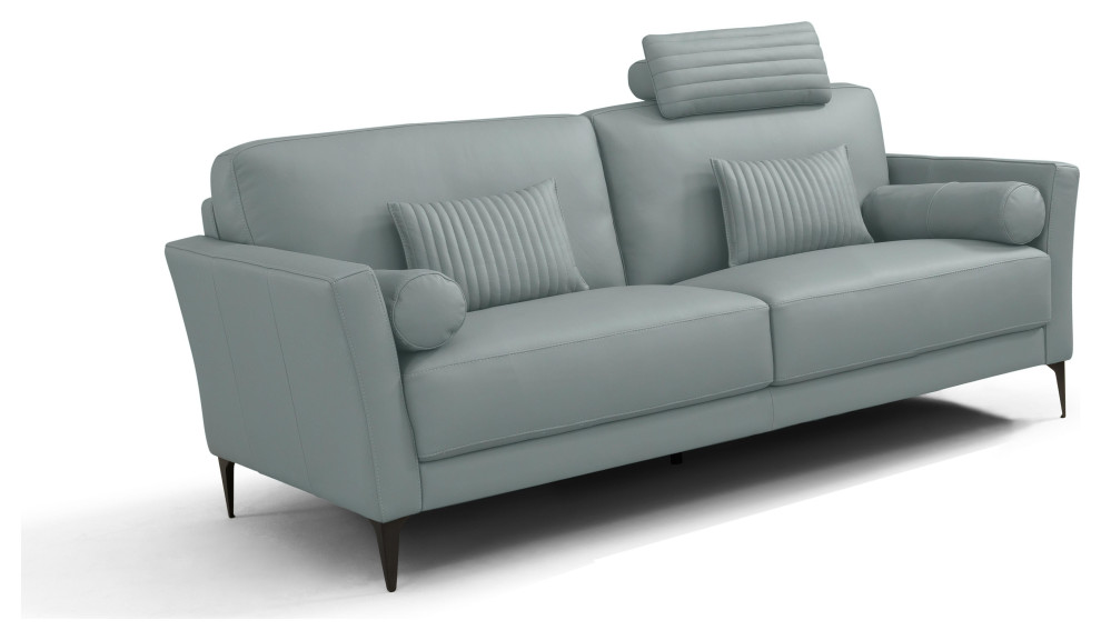 ACME Tussio Loveseat With 5 Pillows  Leather   Midcentury   Loveseats   by Acme Furniture  Houzz