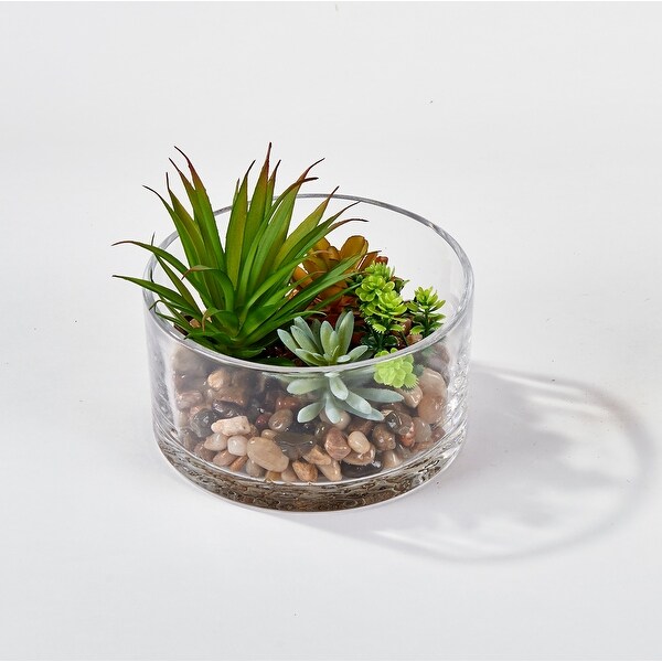 Mixed Artificial Succulents on Stones In 5.5 Glass Terrarium