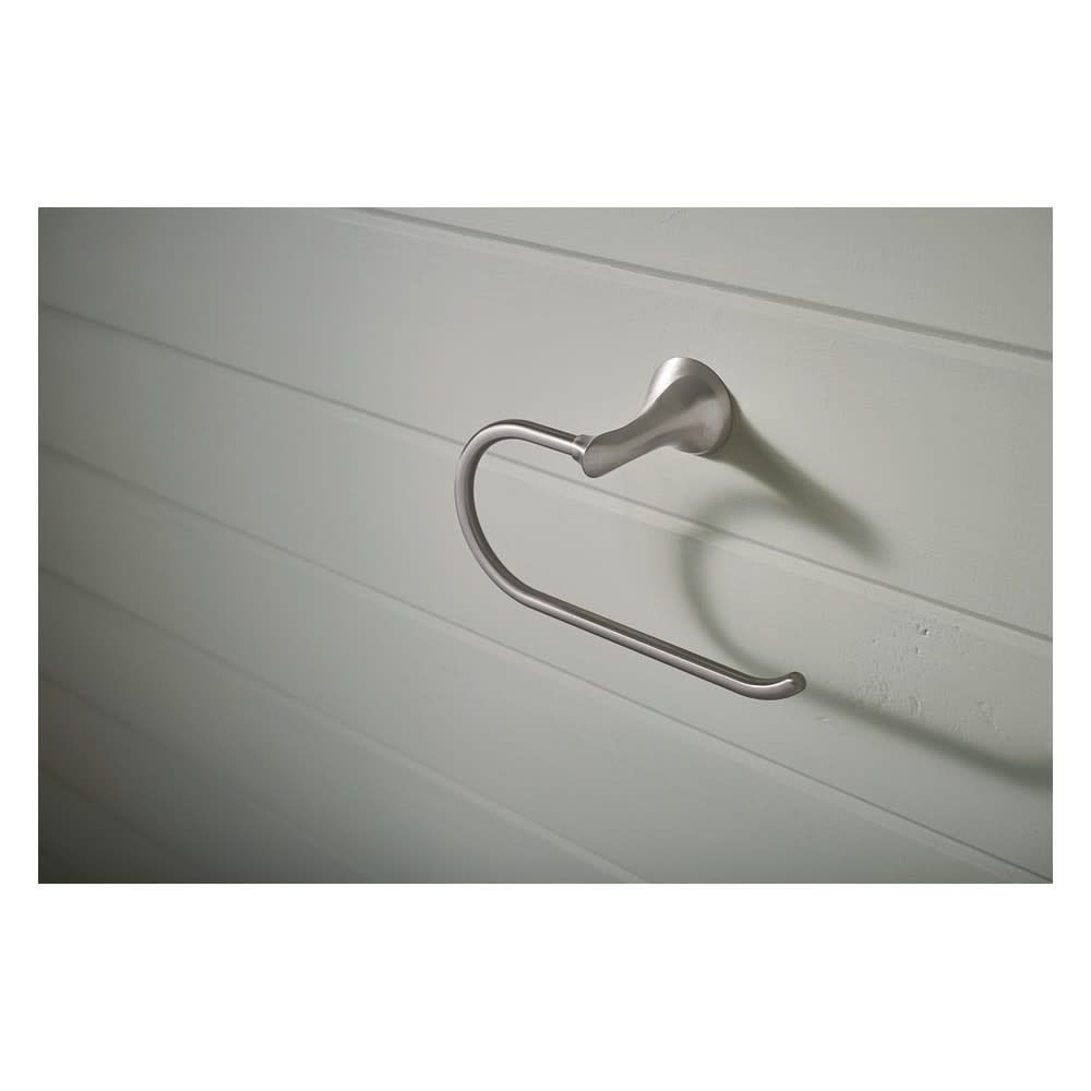 Moen Darcy Toilet Paper Holder Brushed Nickel 1 Post European