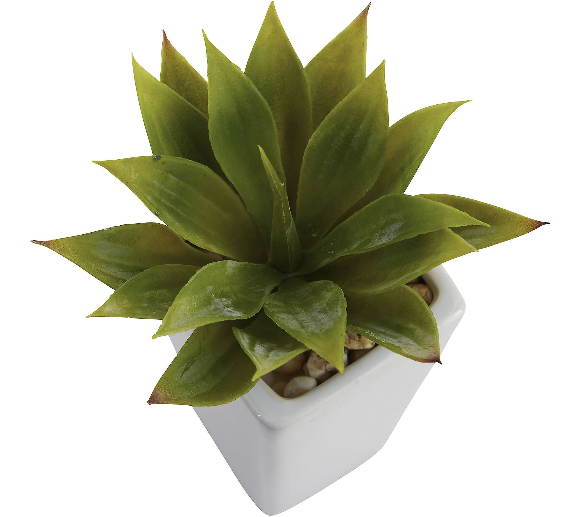 Set of 3 Mini Agave Plants by Nearly Natural