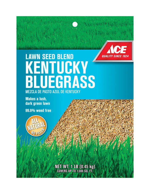 ACE KY BLUEGRASS SEED 1#