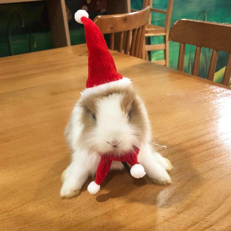 Legendog Small Pet Christmas Costume Hamster Santa Hat Xmas Claus Cap with Scarf for Guinea Pig Chinchillas Rabbit Hamster