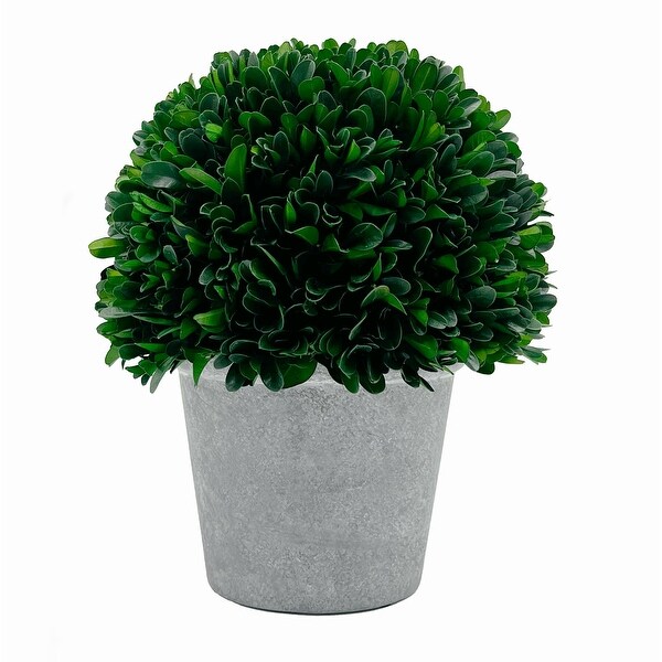 Preserved Decorative Boxwood 10 Inch Ball In Pot