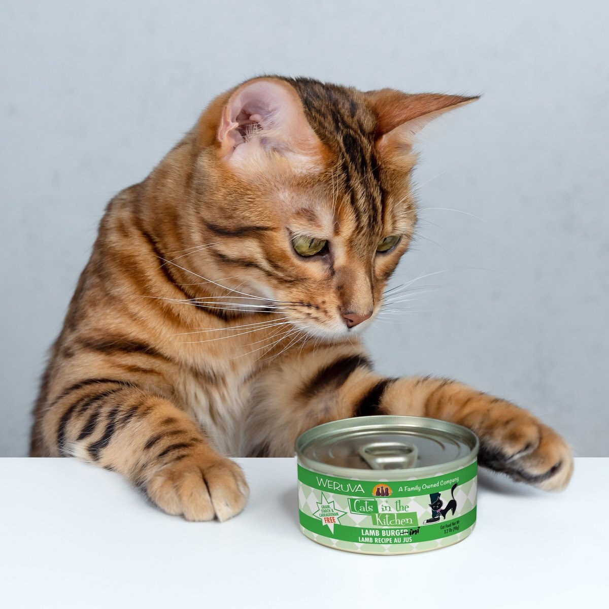 Weruva Cats in the Kitchen Lamb Burgini Lamb Au Jus Grain-Free Canned Cat Food