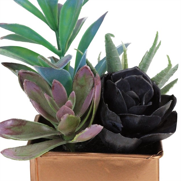 Mixed Succulent Artificial Potted Arrangement - Green/black