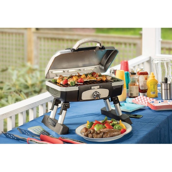 1 Burner Silver and Black Propane Outdoor Gas Grill