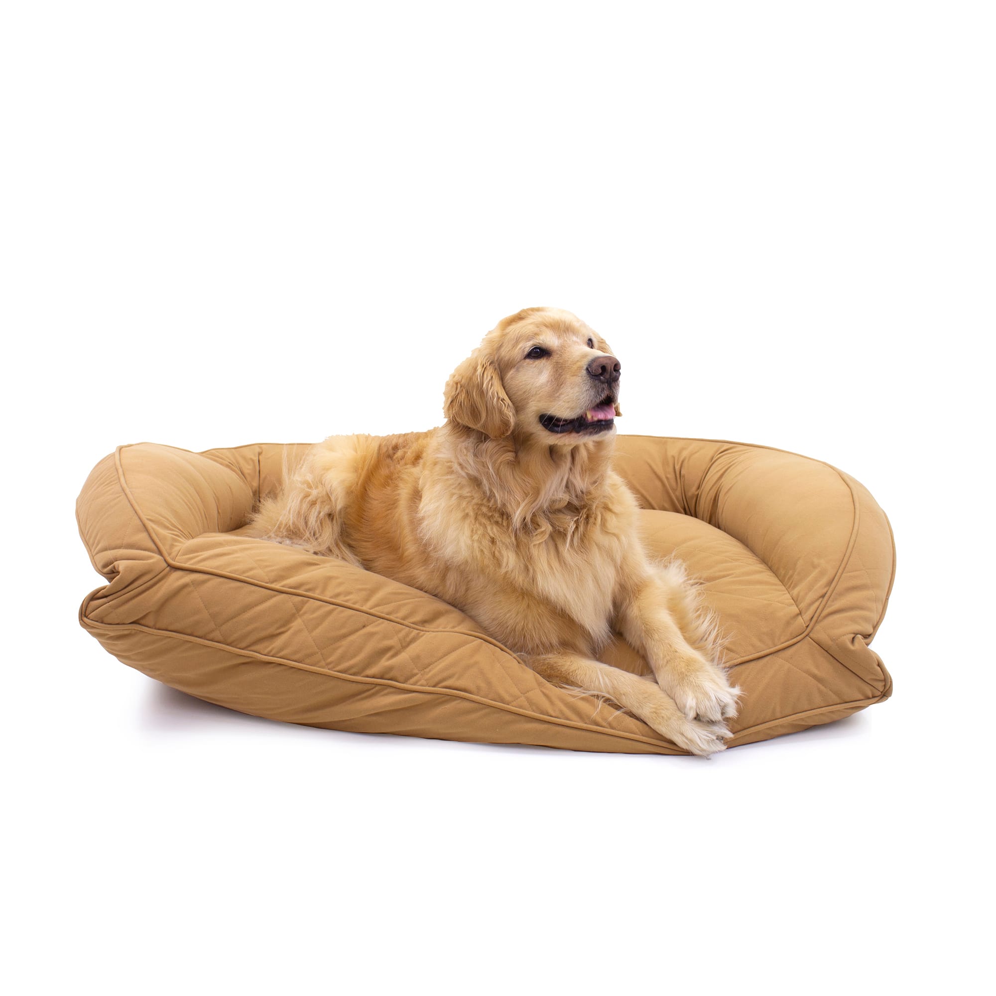 Carolina Pet Company Quilted Microfiber Bolster Lounger Dog Bed， 36