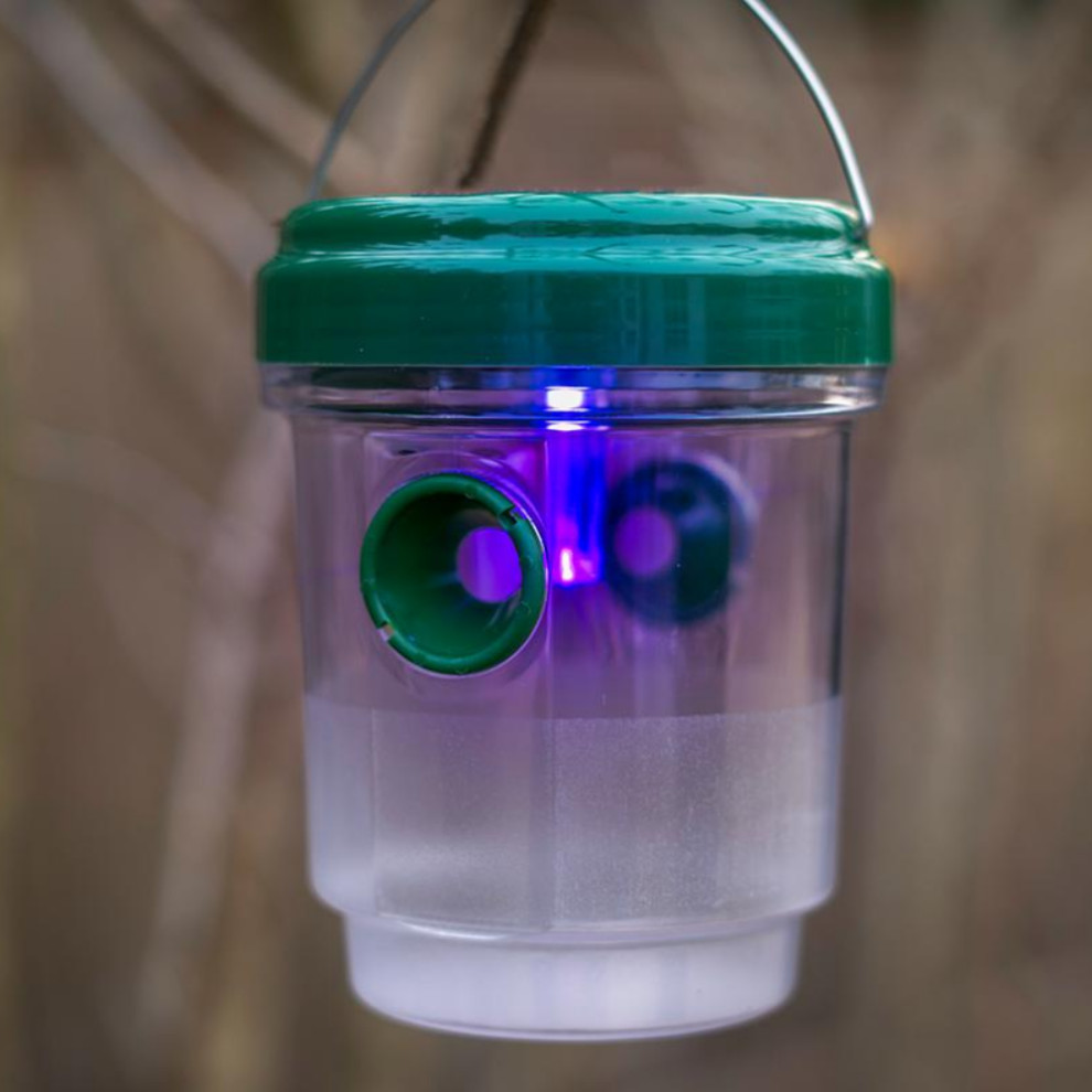 Solar LED Mosquito  ampInsects Trap   Contemporary   Outdoor Hanging Lights   by Touch of ECO  Houzz