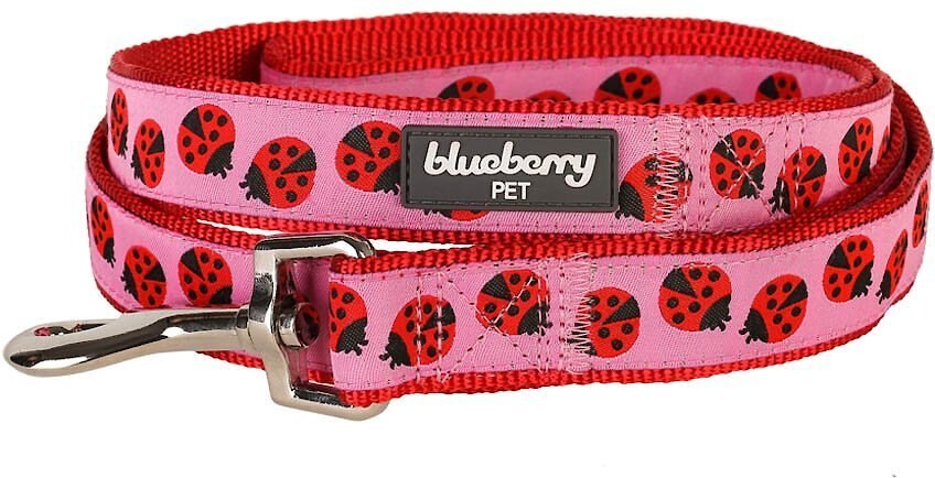 Blueberry Pet Spring Prints Nylon Dog Leash