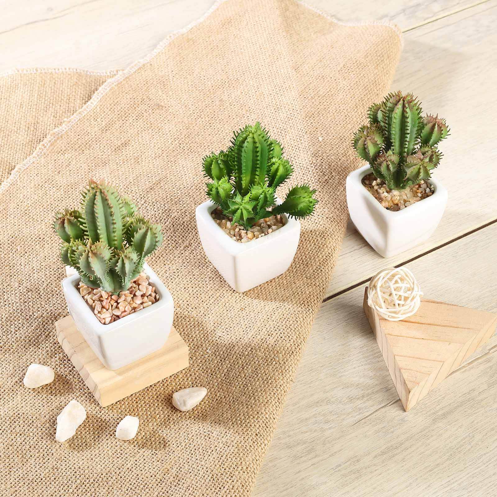 3 Pack Ceramic Planter Pot and Artificial Cacti Succulent Plants 5