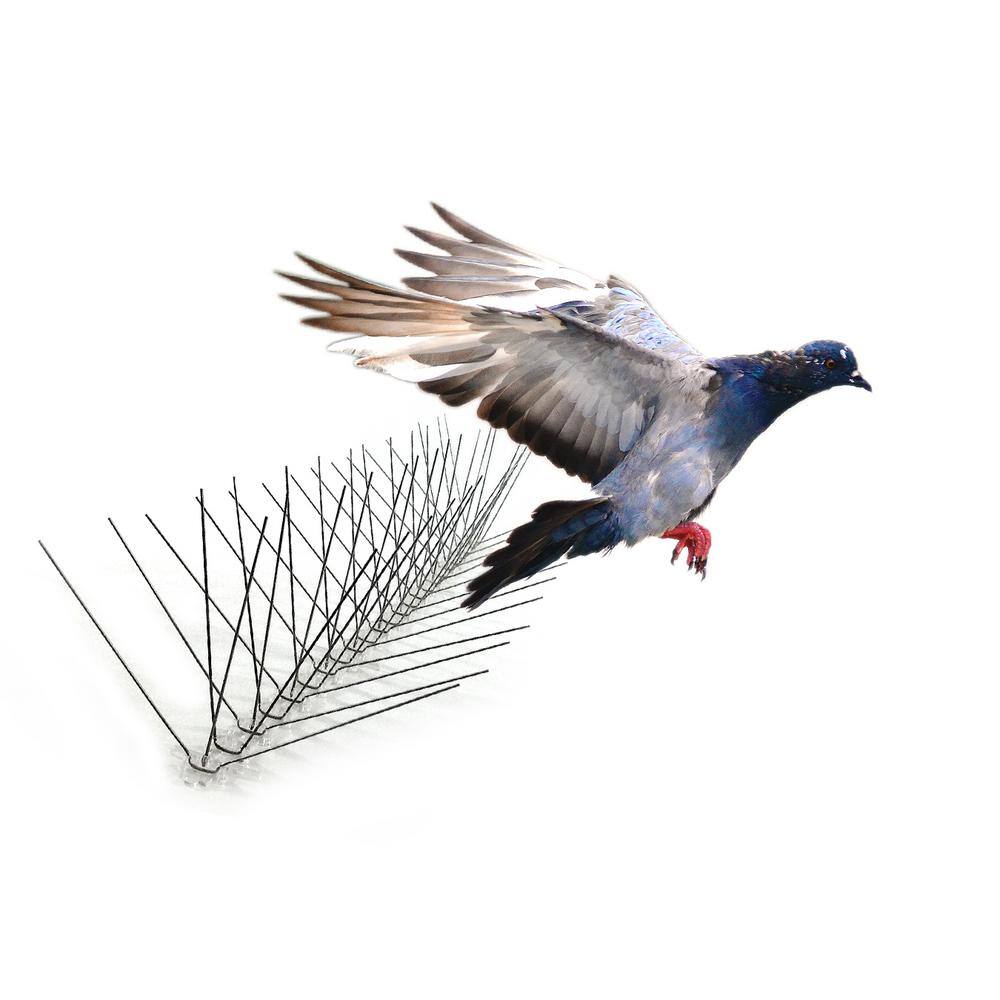 Bird-X 10 ft. Original Extra-Wide Stainless Steel Bird Spikes Bird Control EWS-10