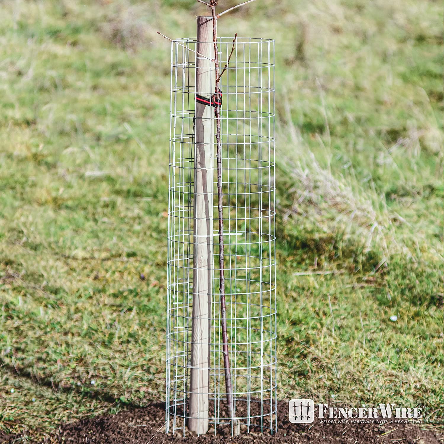 Fencer Wire 14 Gauge Galvanized Welded Wire Fence, 2" x 4" Mesh Opening for Vegetables, Garden Fruits & Animals Enclosure