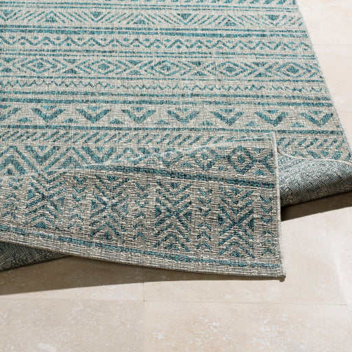 Eagean Traditional Indoor/Outdoor Aqua Rug