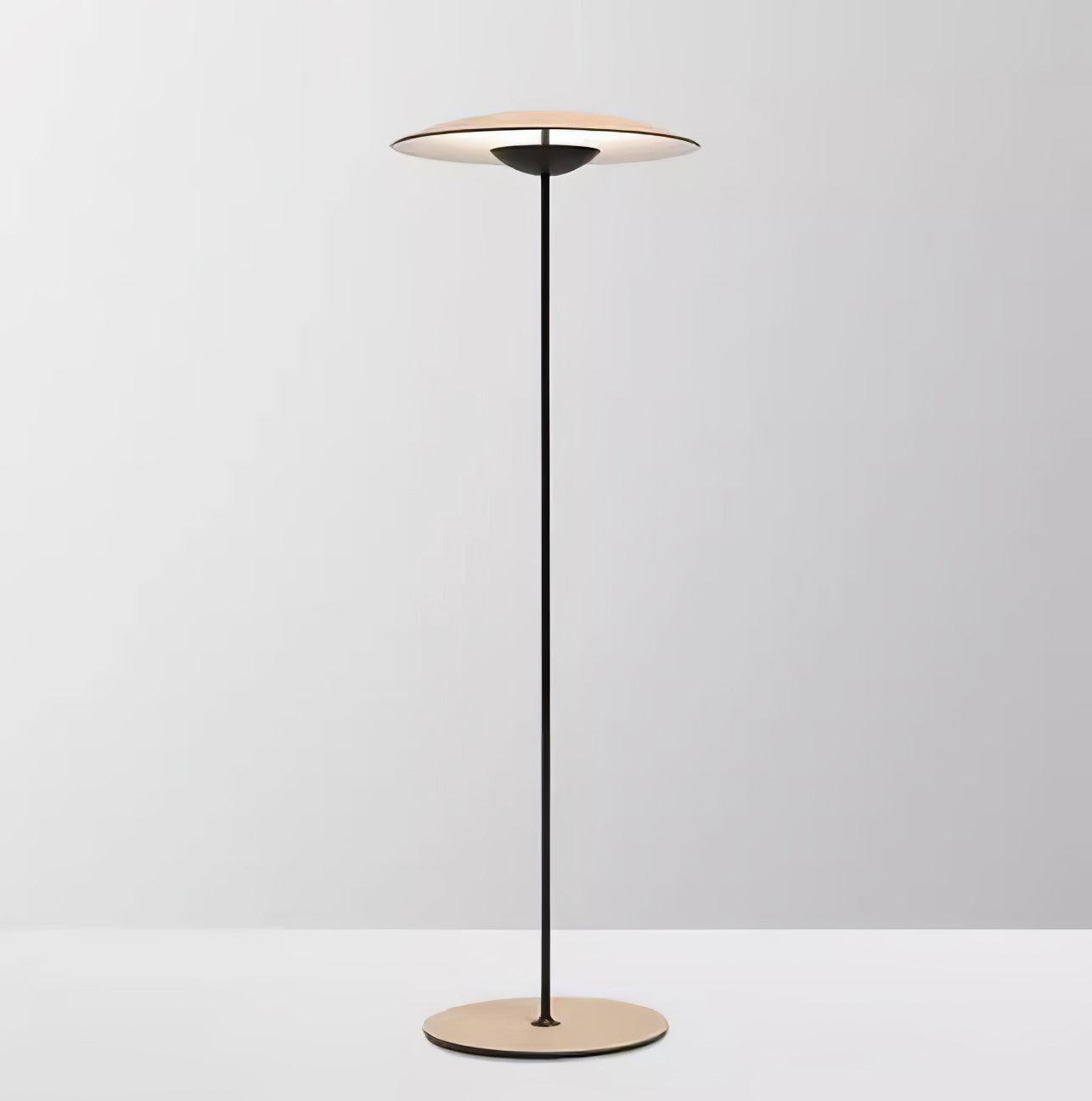 Innovative Directional Floor Lamp