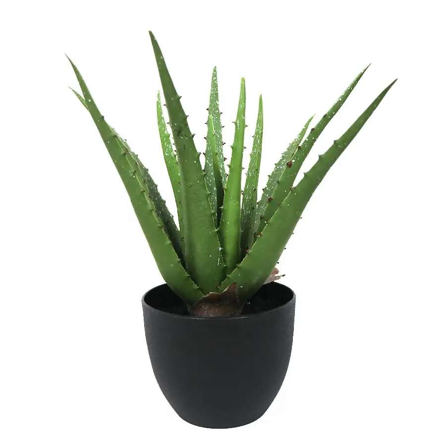 Supplies 50cm tall 17lvs real touch aloe plant