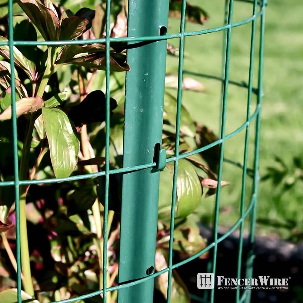 Fencer Wire 16 Gauge Green Vinyl Coated Welded Wire Mesh, 2-Inch x 3-Inch Grid Hardware Cloth for Home and Garden, Great for Home Improvement and Home Guard Project