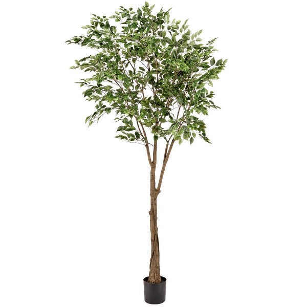 Potted Uv Treated Ficus Tree 8'