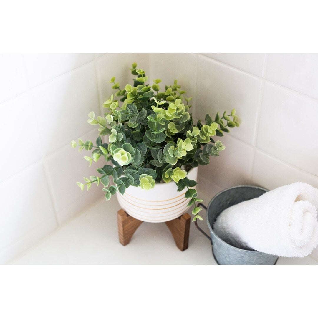 Flora Bunda CS3096E-GD/GY Eucalyptus in 4.75' Ceramic Pot on  Wood Stand