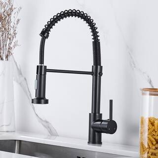 Zalerock Springs Single-Handle Pull-Down Sprayer Kitchen Faucet with Deckplate Included in Matte Black WC05T023