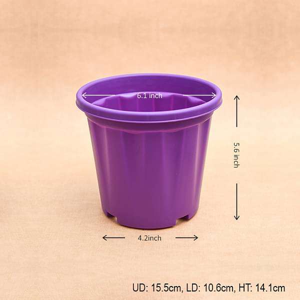 6 inch (15 cm) Grower Round Plastic Pot (Violet) (set of 6)