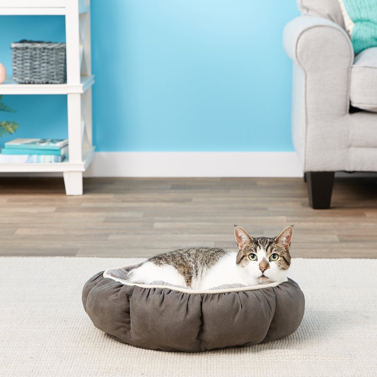 Aspen Pet Round Puffy Bolster Cat and Dog Bed， Color Varies