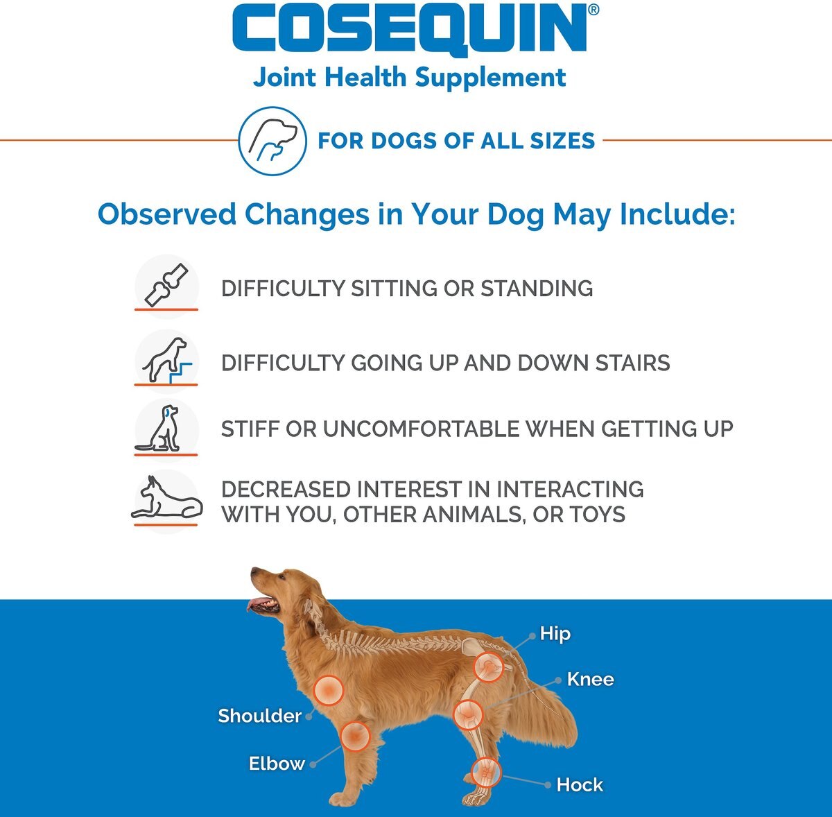 Nutramax Cosequin with Glucosamine and Chondroitin DS Chewable Tablet Joint Supplement Chewable Tablets for Dogs