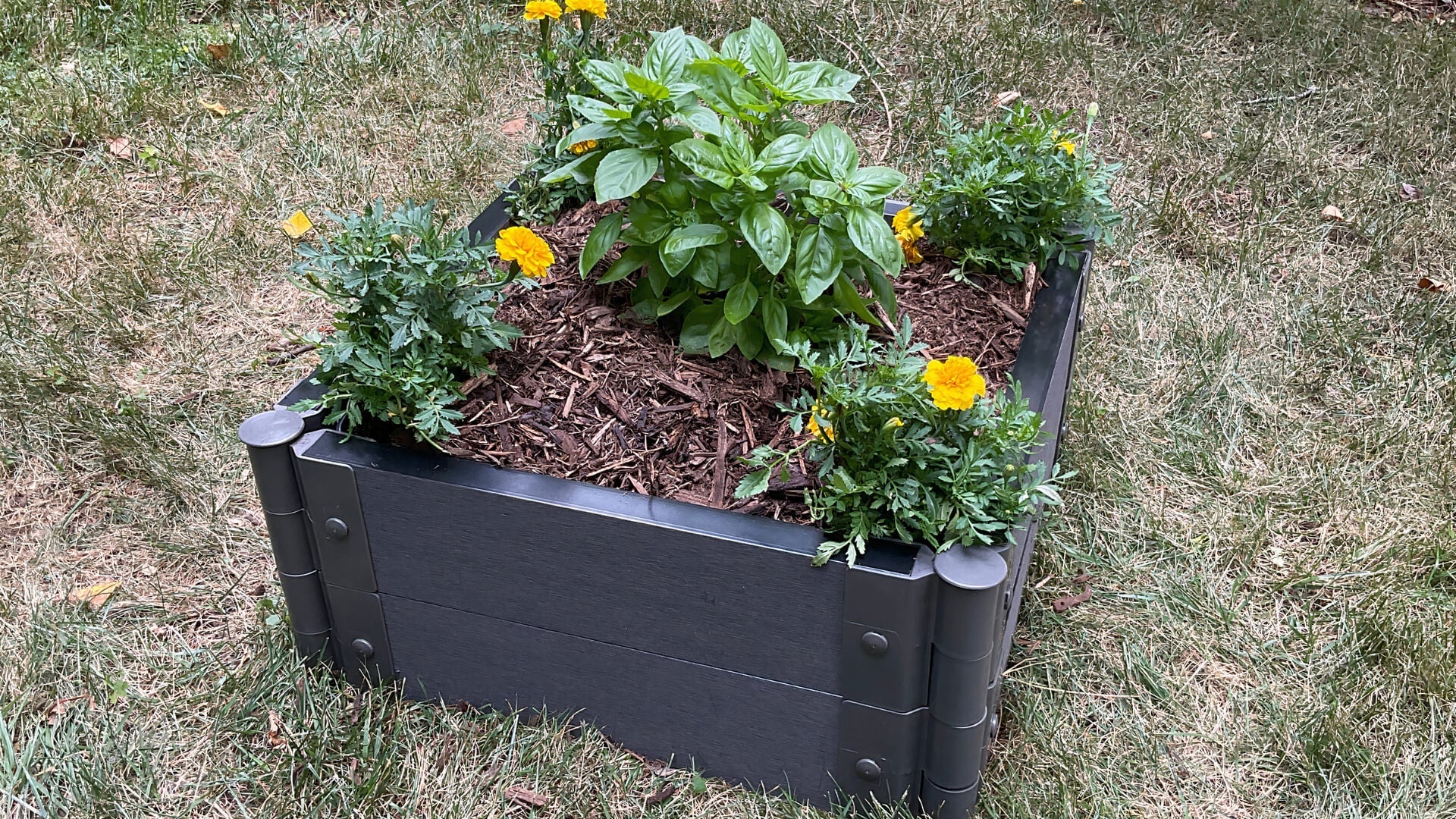 2' x 2' Raised Garden Bed