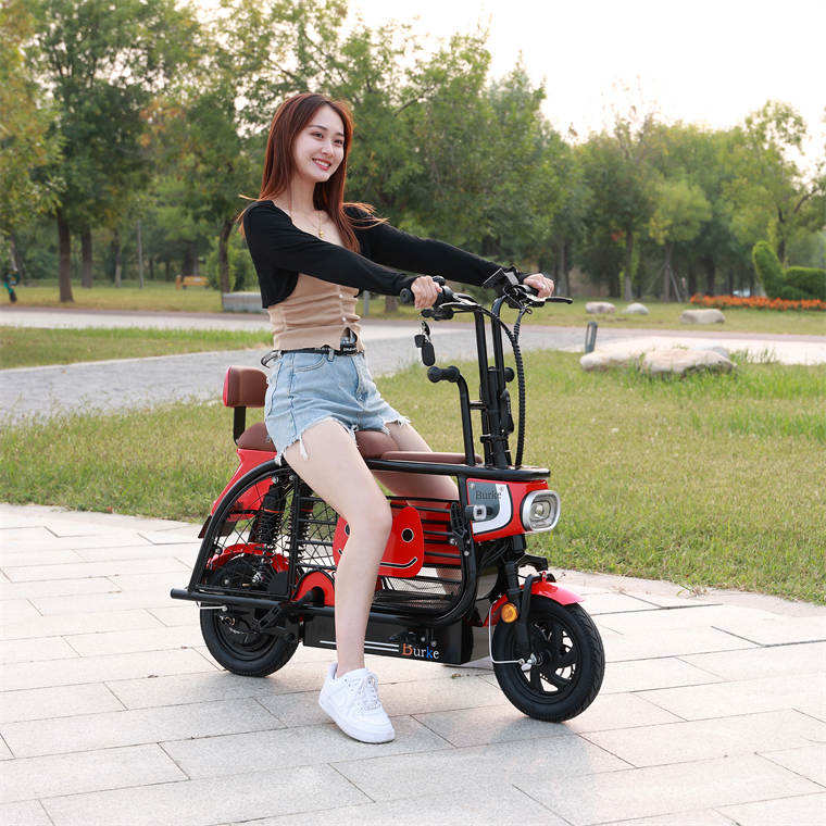 2023 new style High quality Adult Popular Foldable 350w 36v 10ah cycle  mini three wheeled electric bike  pet bike