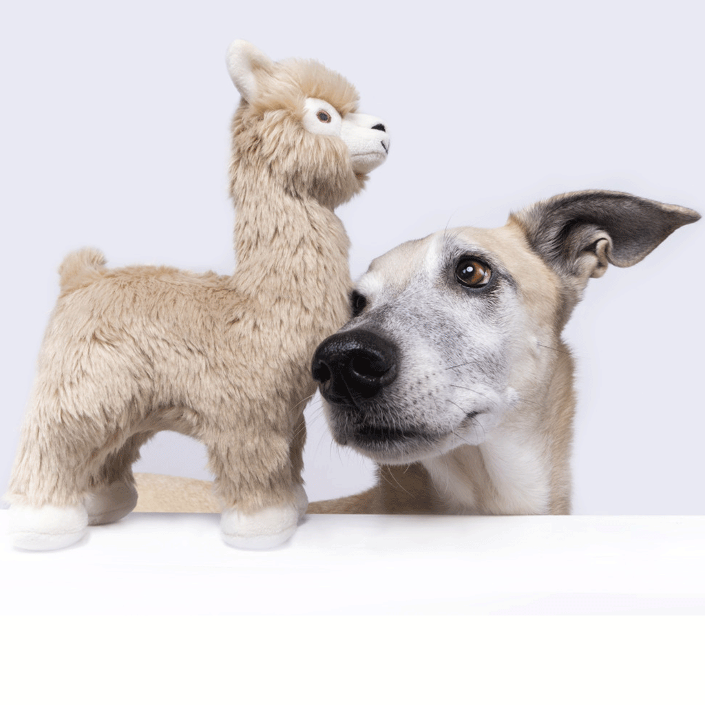 Fluff and Tuff Inca Alpaca Dog Toy