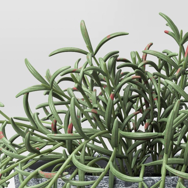 Fish Hook Sedum Artificial Plant - Threshold Designed With Studio Mcgee