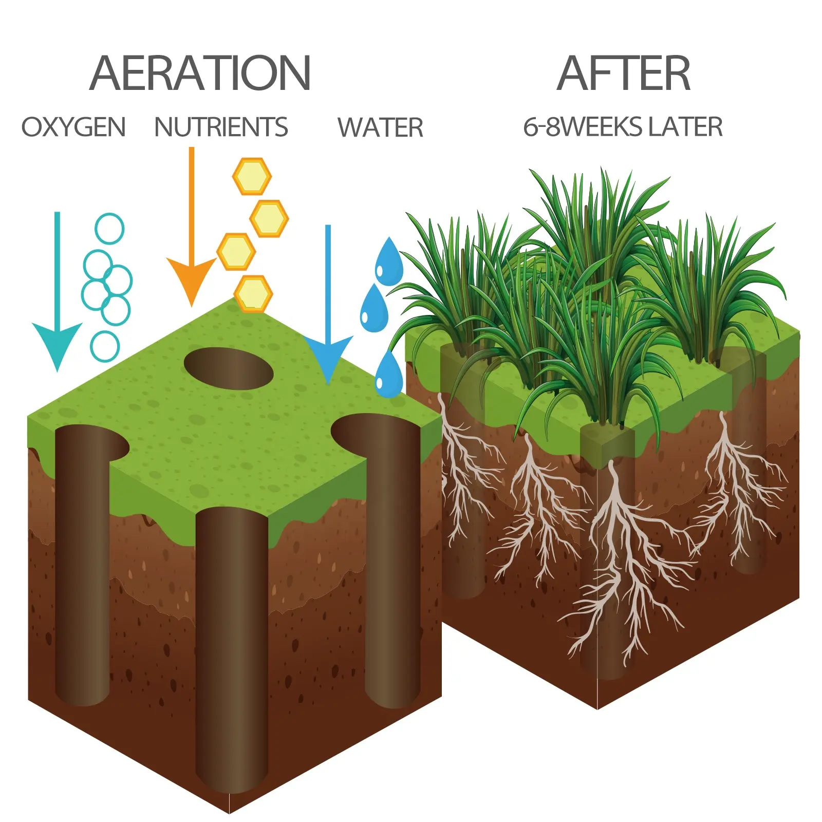 Walensee Lawn Core Aerator Garden Hand Tools Manual Lawn Aerators Aquaculture Machine Aerators