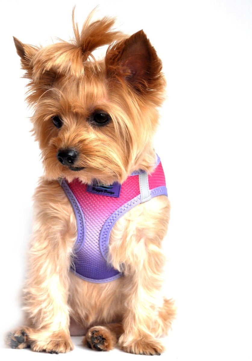 Doggie Design American River Ombre Nylon Reflective Back Clip Dog Harness